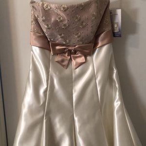 Jessica McClintock dress